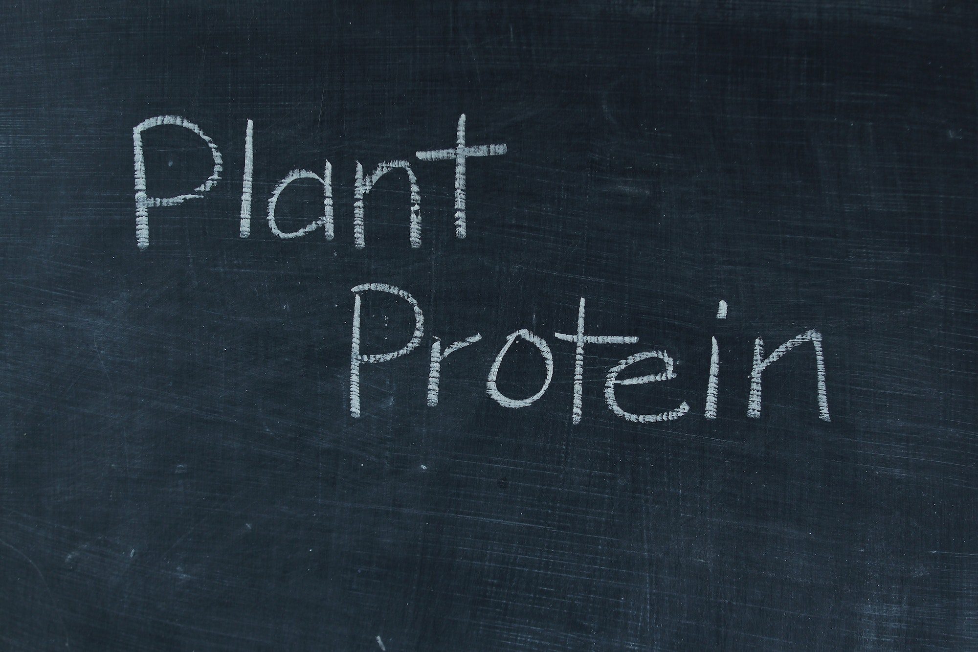 Plant protein written on chalkboard
