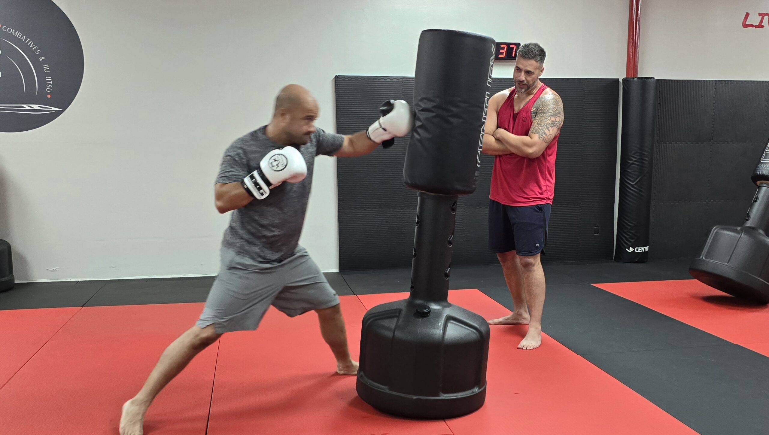 The Perfect Combat Sports Center for Getting Fit in Napier Field
